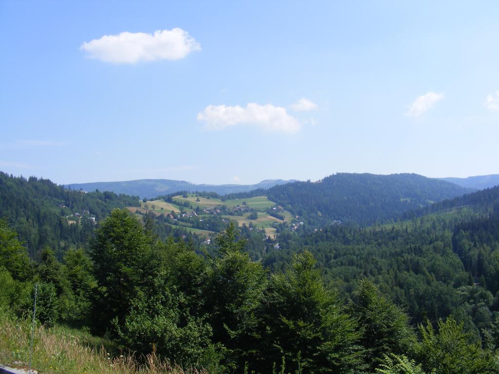 Rezydencja Prezydenta Rp Zamek W Wisle Wisła Exterior foto